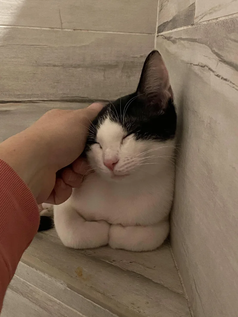 Cookies & Cream thumbnail 2