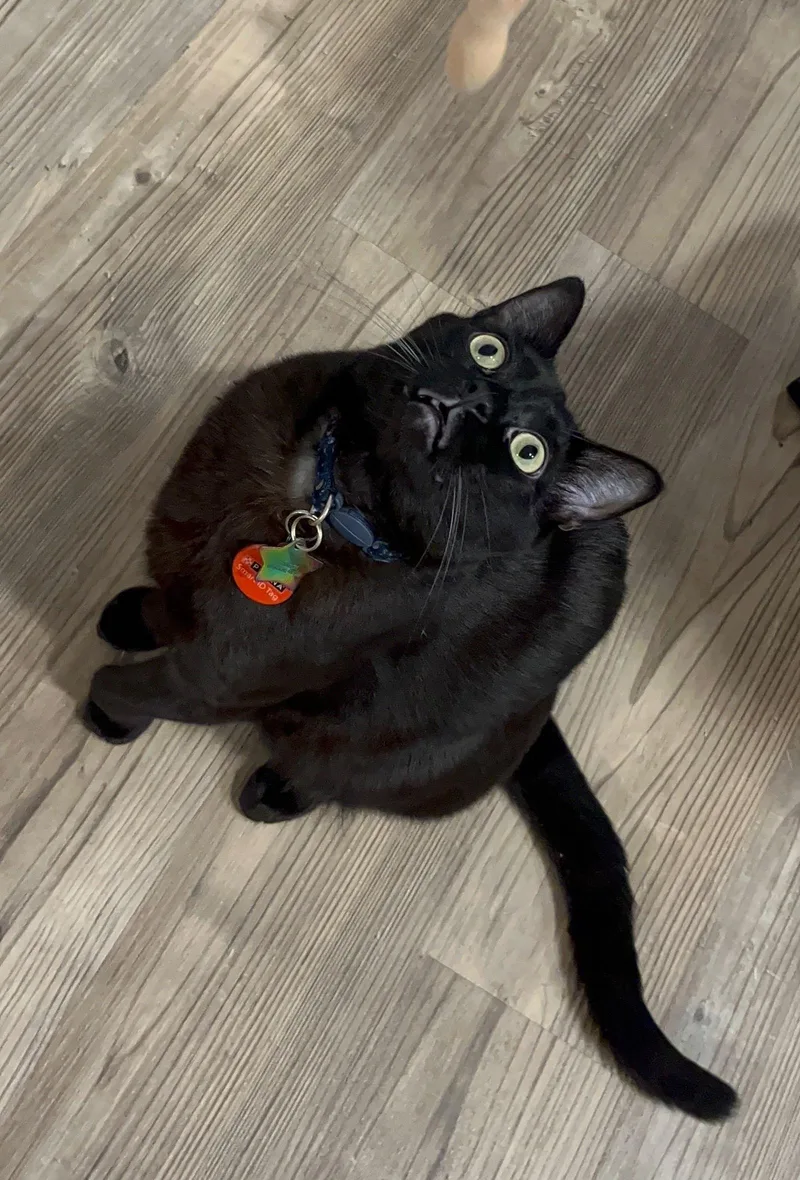 Church A  Young thumbnail 3