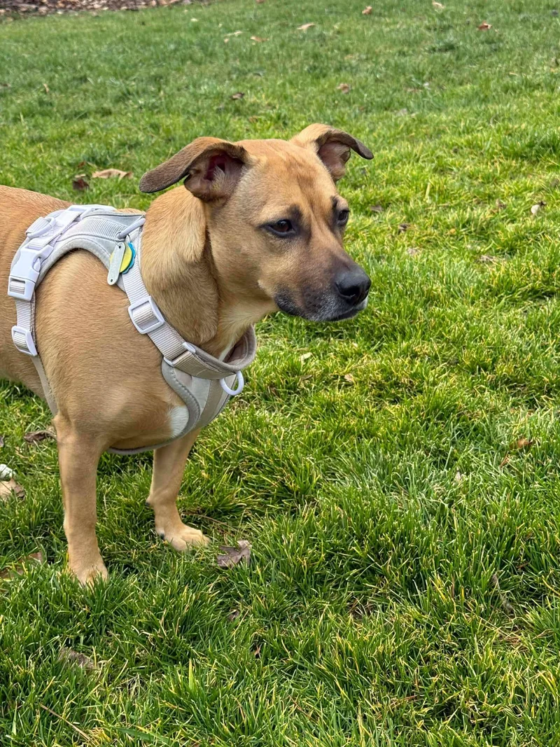 Stella Rico thumbnail 2