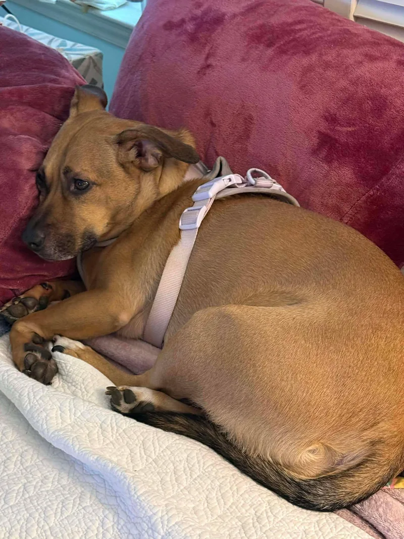 Stella Rico thumbnail 3