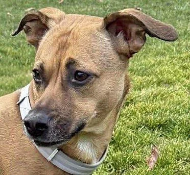 Stella Rico thumbnail 4