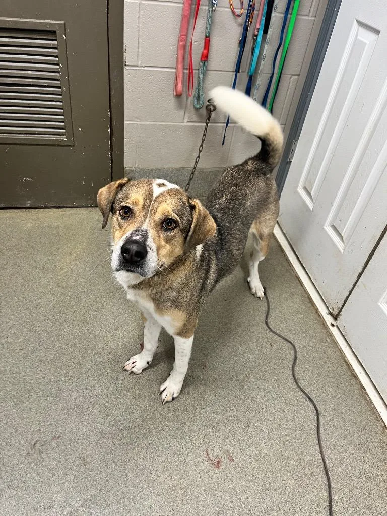 Harlowcoco thumbnail 2