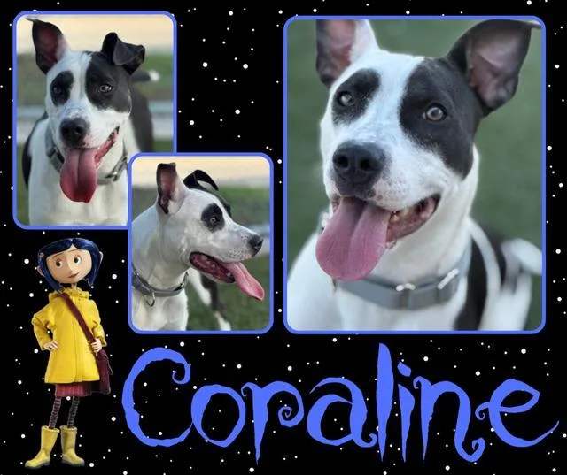 Coraline