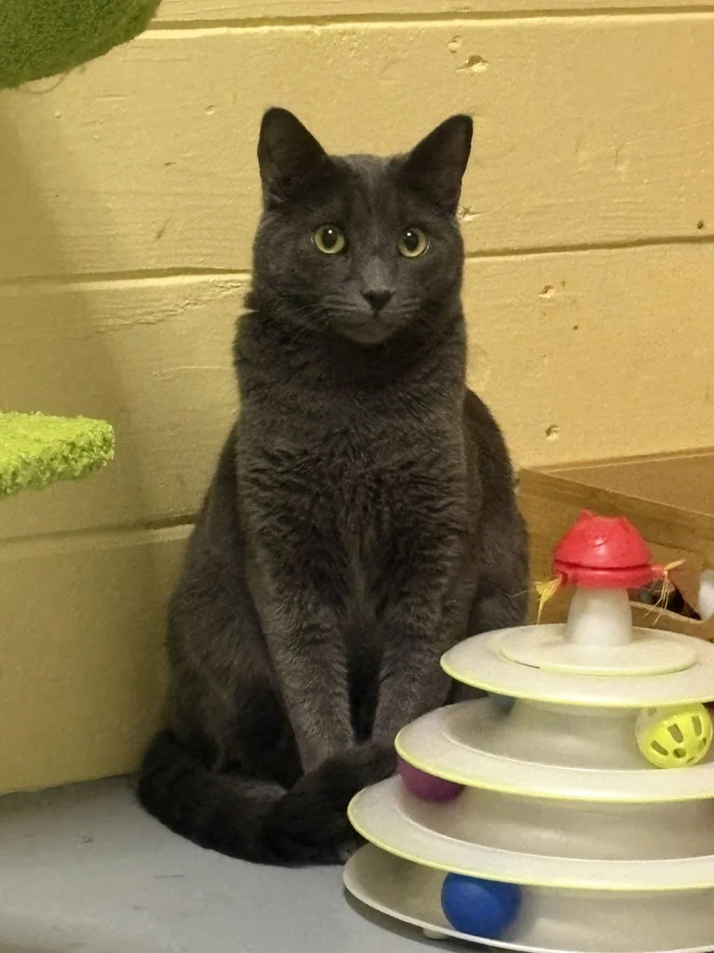 Johnny Bonded With Sally