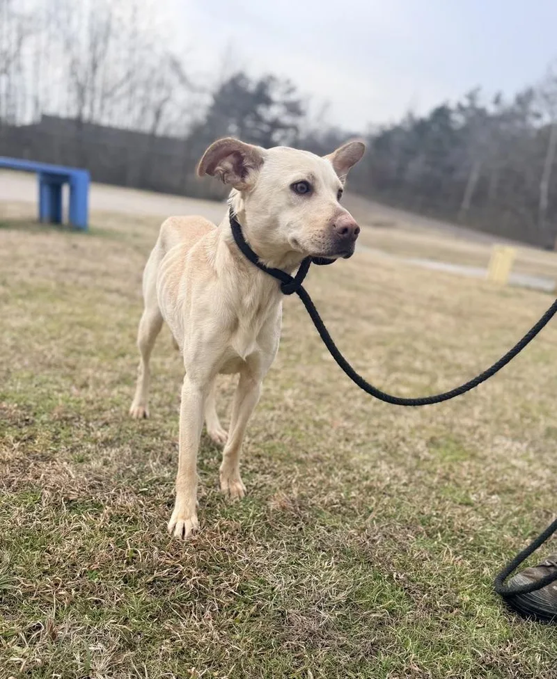 Giannah D thumbnail 2