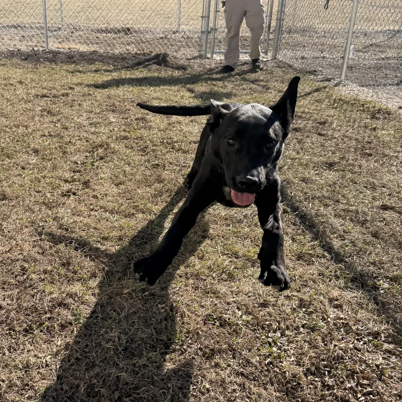 Live Nation thumbnail 2