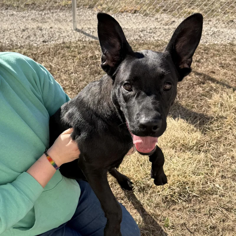 Live Nation thumbnail 3