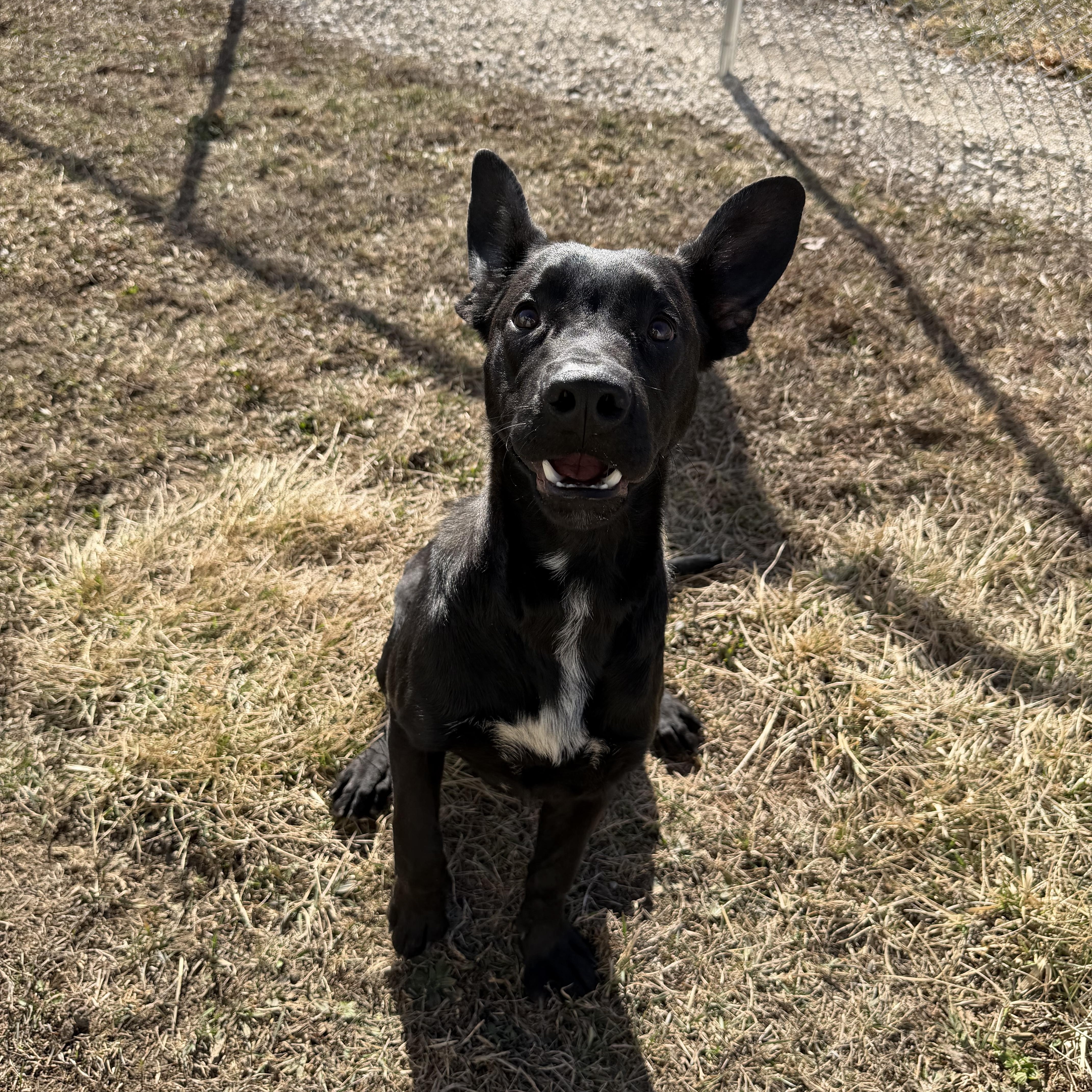 Live Nation thumbnail 4