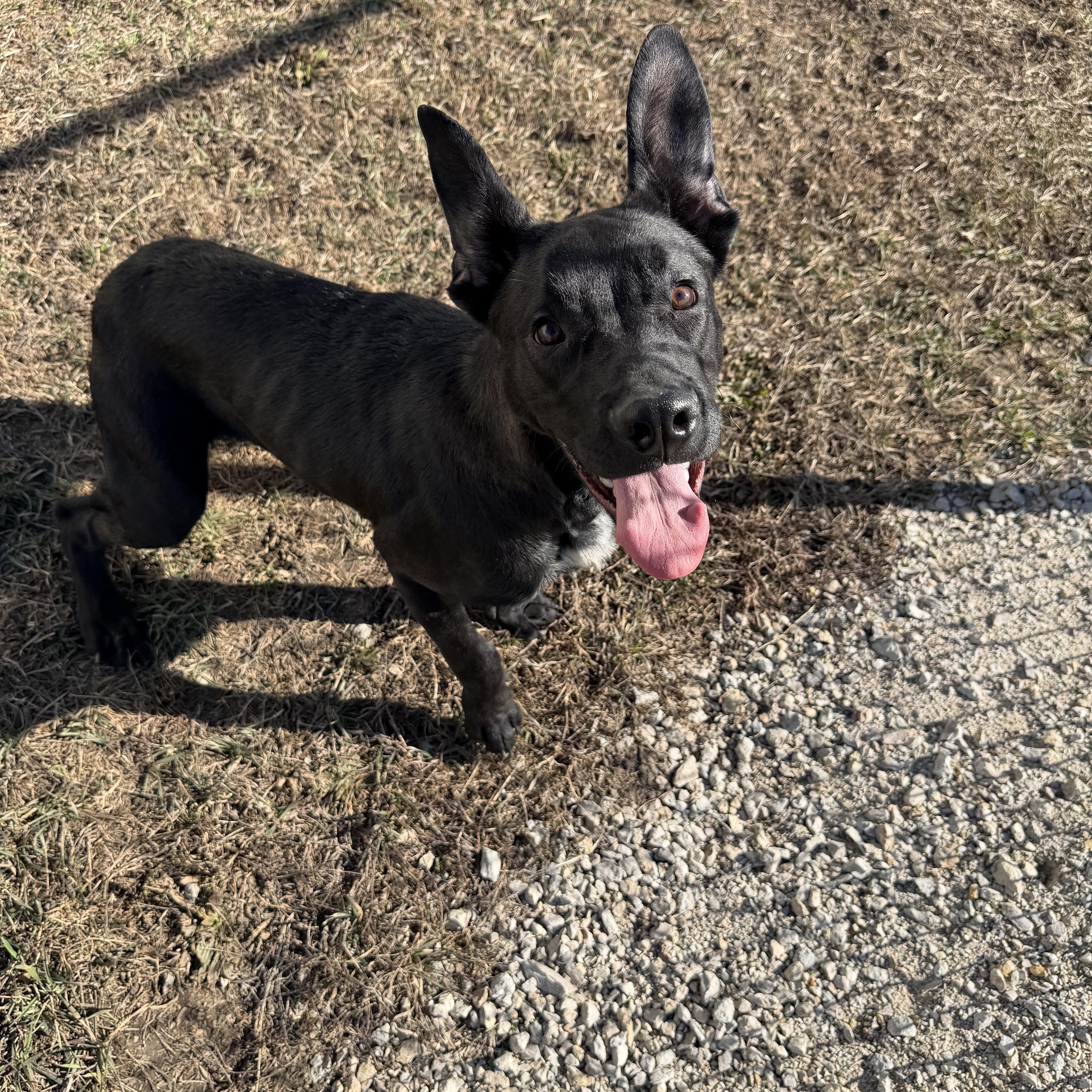 Live Nation thumbnail 5