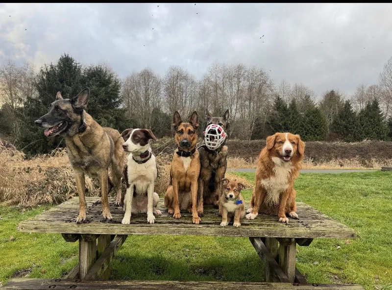 Aphrodite thumbnail 2