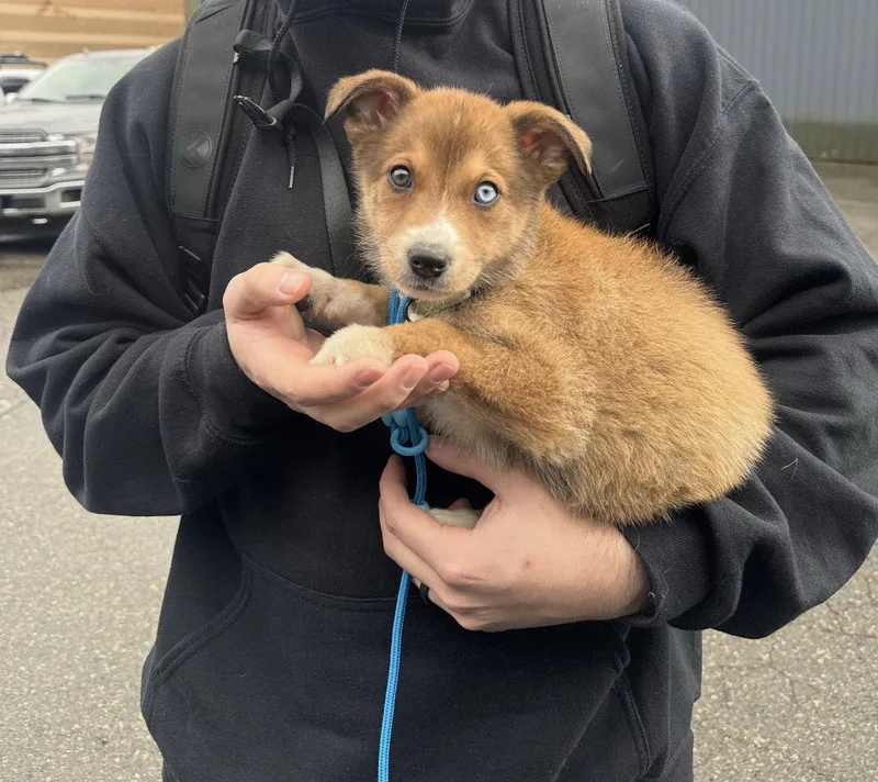 Aphrodite thumbnail 3