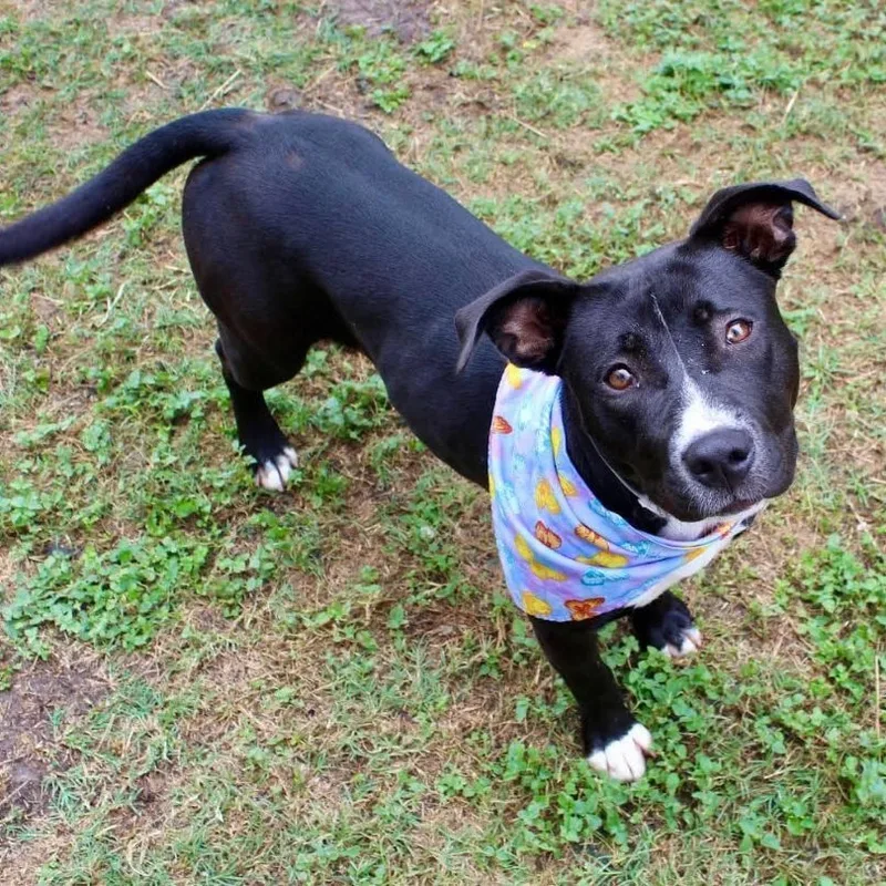 Michelle thumbnail 2