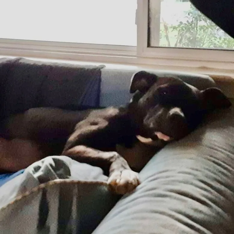 Michelle thumbnail 3