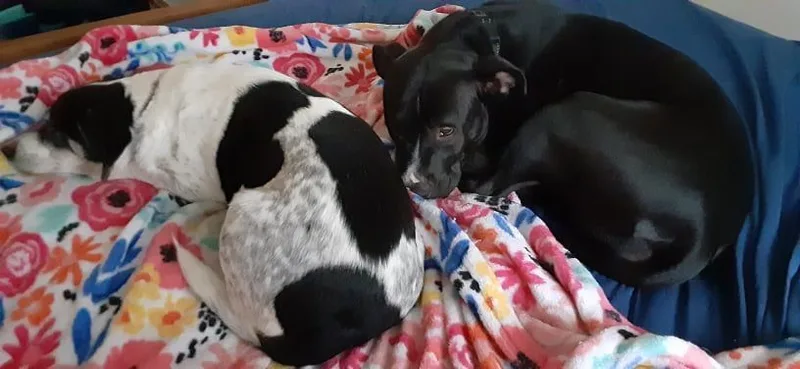 Michelle thumbnail 4