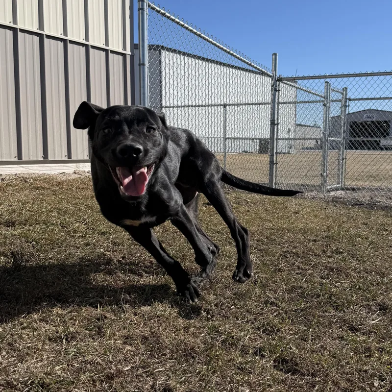 Ticketmaster thumbnail 2