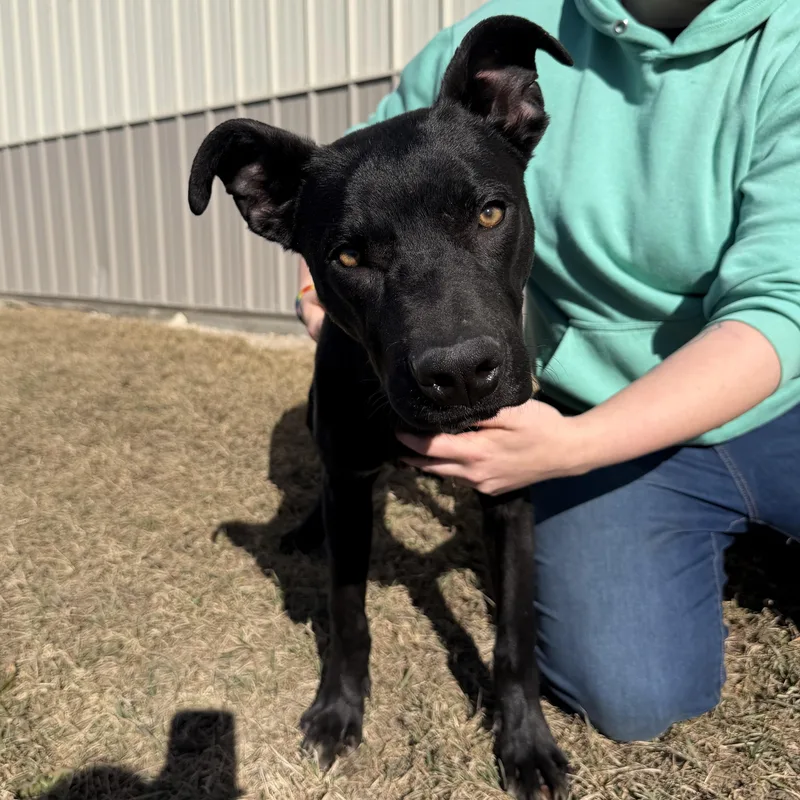 Ticketmaster thumbnail 3