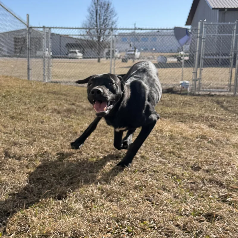 Ticketmaster thumbnail 4