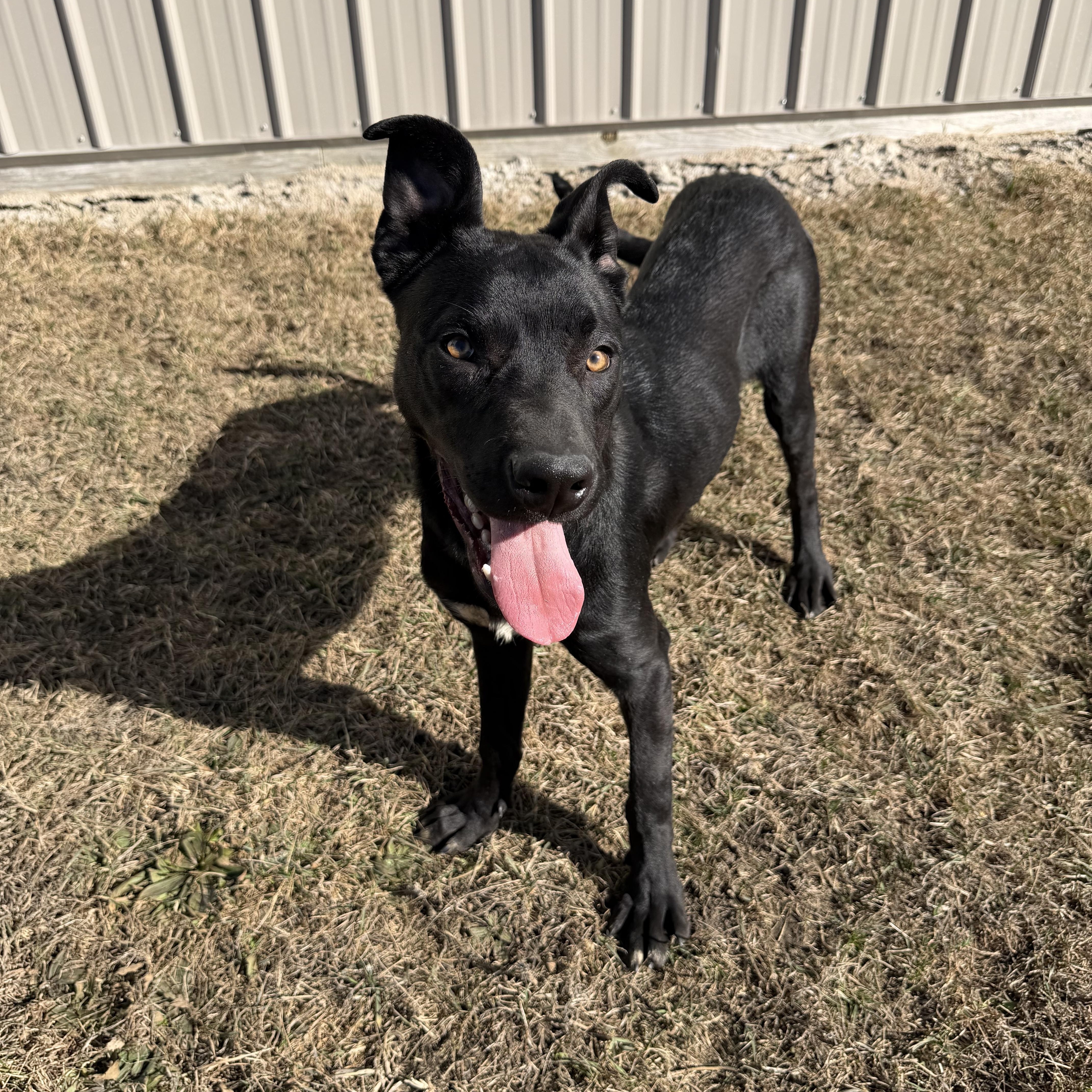 Ticketmaster thumbnail 5