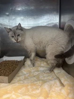 Felicity thumbnail 2