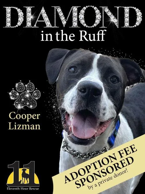 Cooper Lizman thumbnail 2