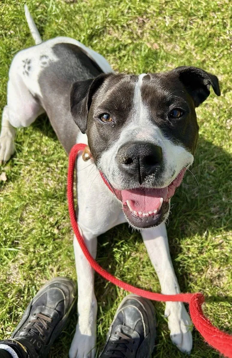 Cooper Lizman thumbnail 3