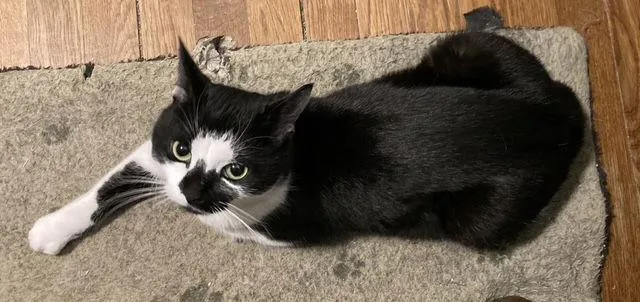 Rori Rps thumbnail 2