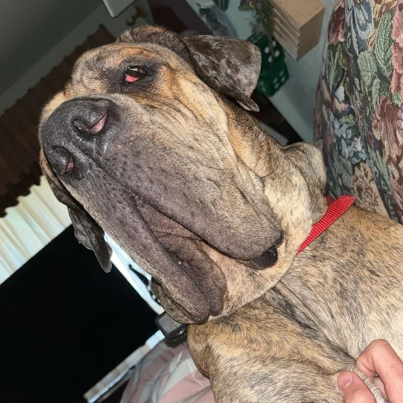 Maverick thumbnail 2