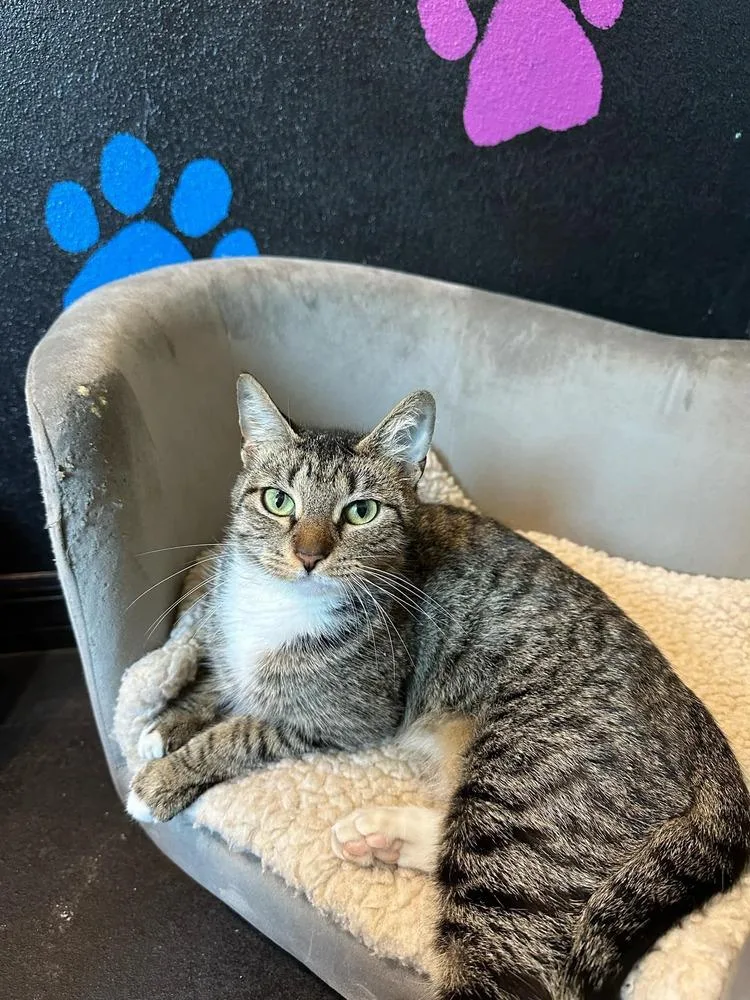 Princess thumbnail 3