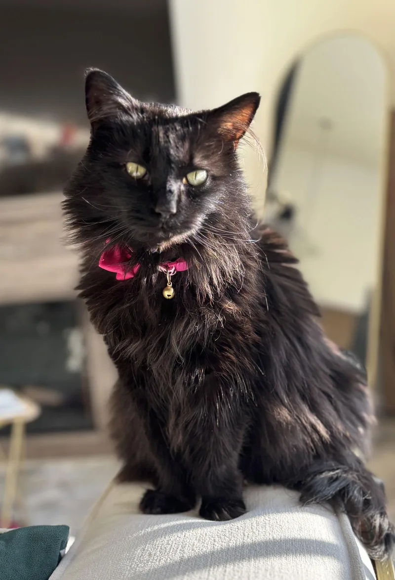 Grace Hopper thumbnail 2