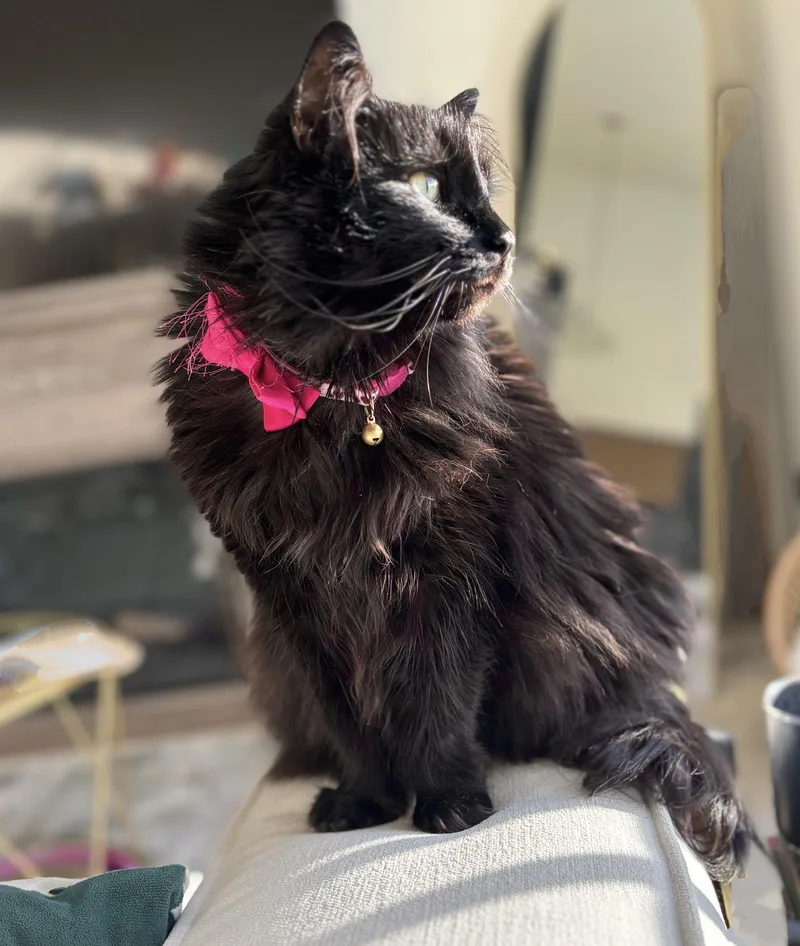 Grace Hopper thumbnail 3