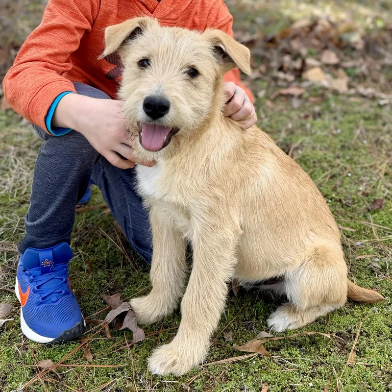 Charlie Cute & Smart thumbnail 2