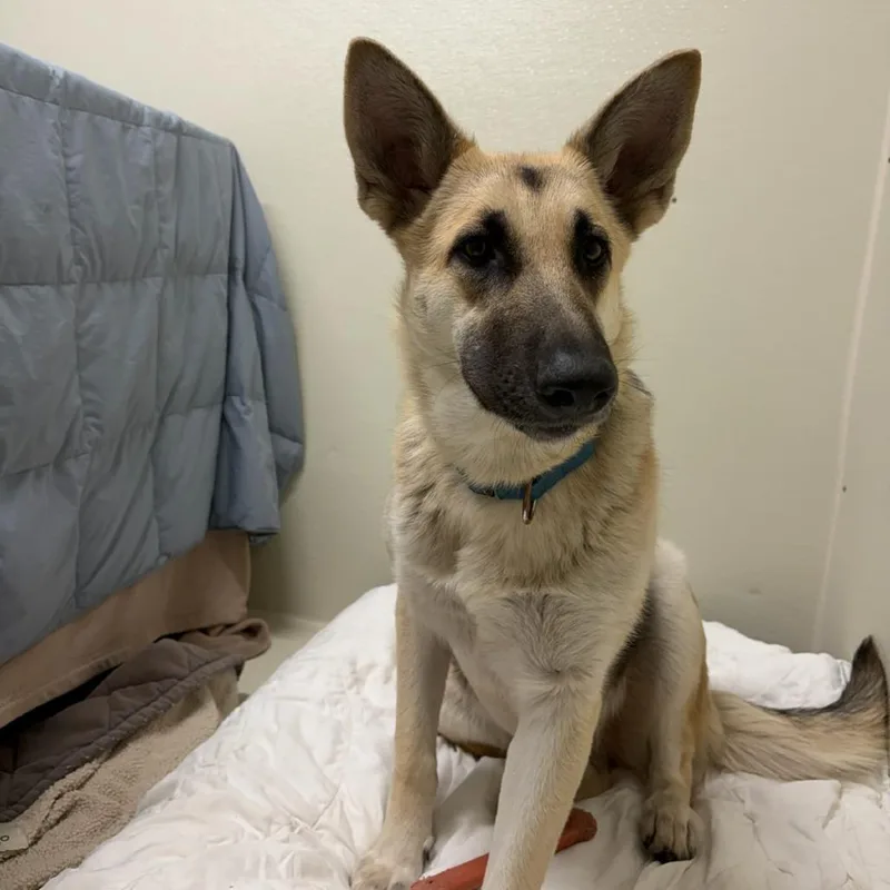 Sheila Dobie thumbnail 3