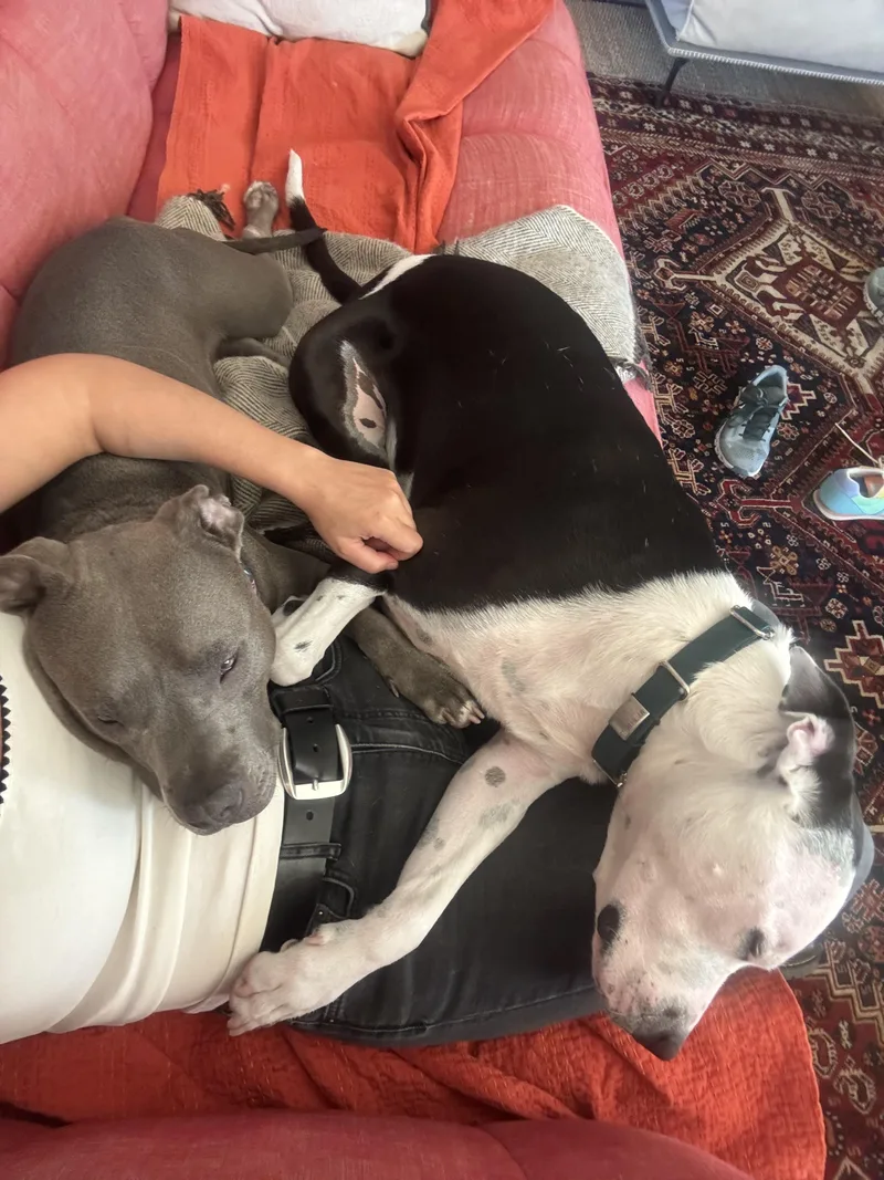 Charlotte thumbnail 3