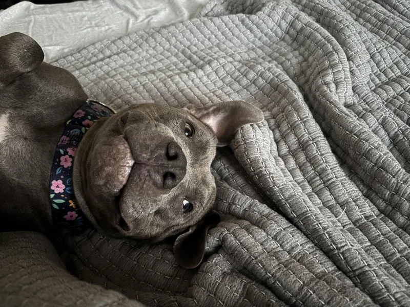 Charlotte thumbnail 5