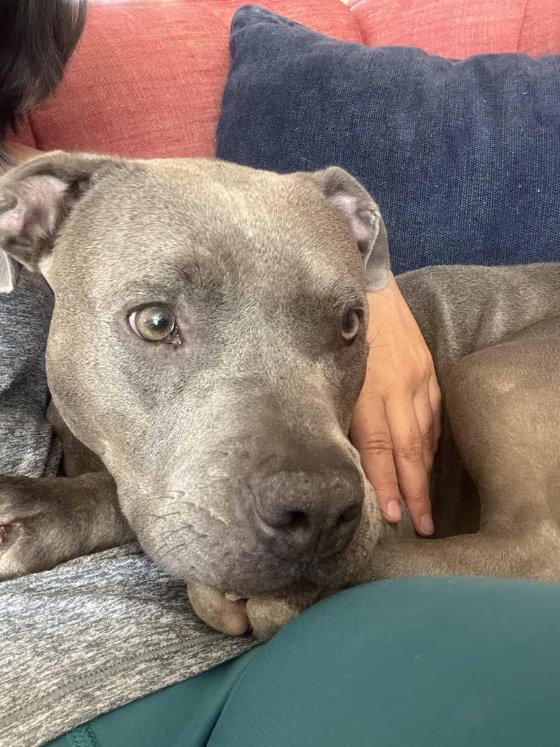 Charlotte thumbnail 6