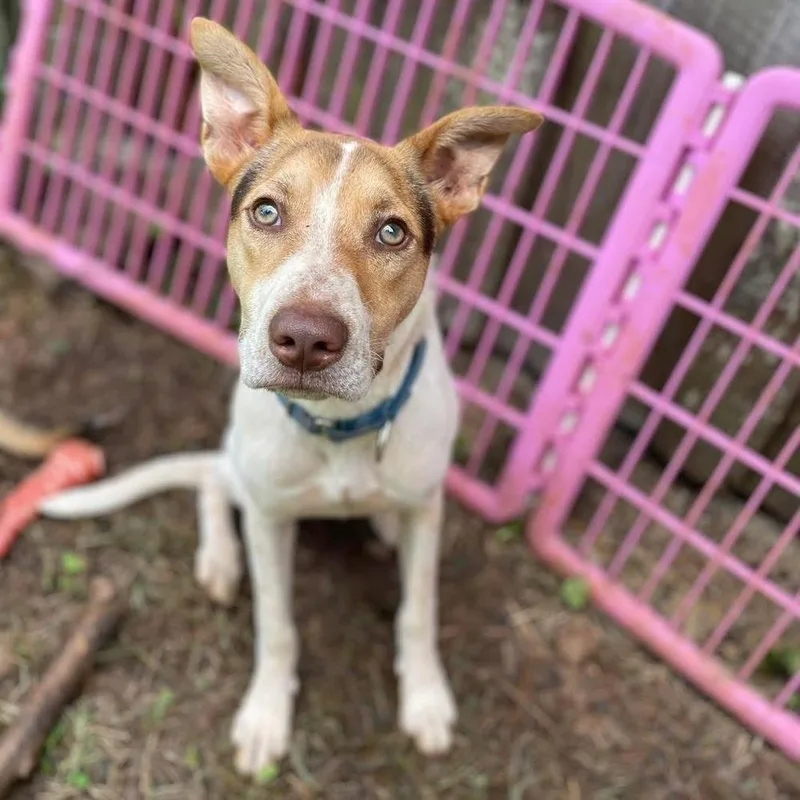 Sebastian thumbnail 2