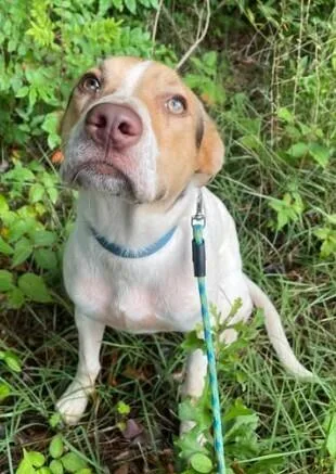 Sebastian thumbnail 5