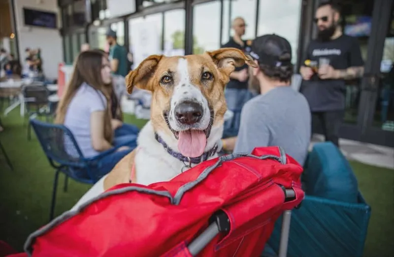 Layla Clapton thumbnail 2