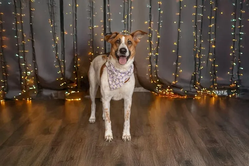 Layla Clapton thumbnail 4