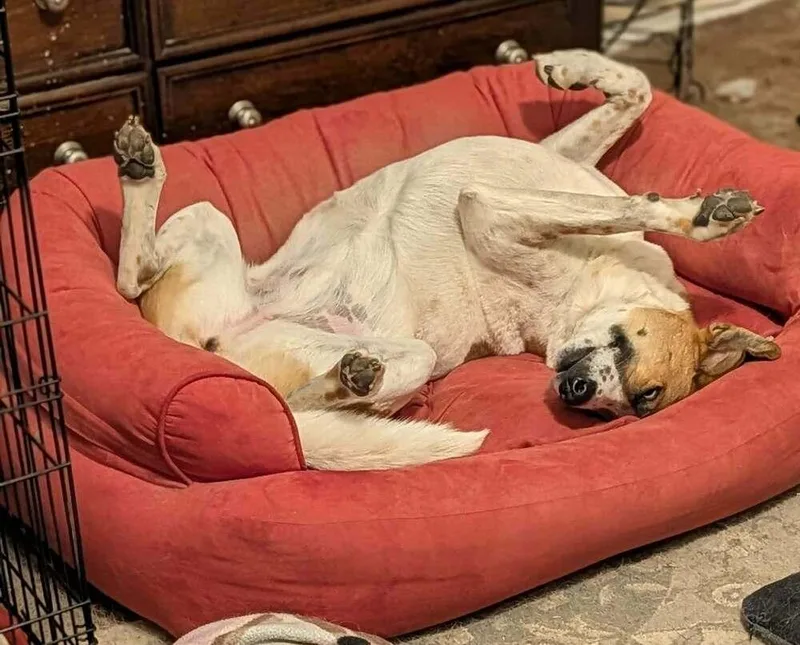 Layla Clapton thumbnail 5