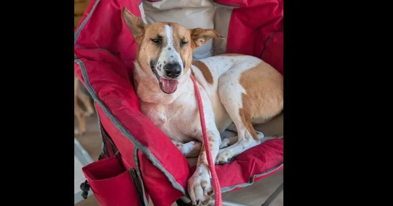 Layla Clapton thumbnail 6