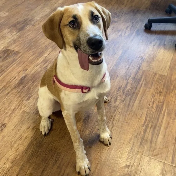 Queenie D thumbnail 2