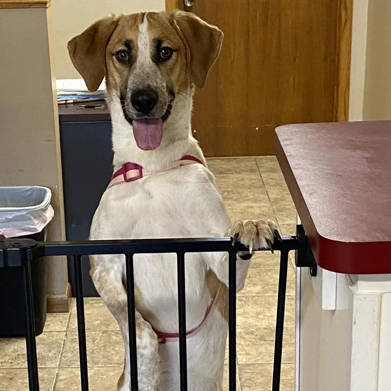 Queenie D thumbnail 3