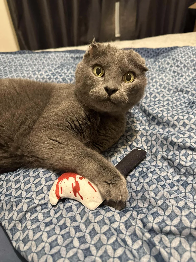 Boo Bear thumbnail 3