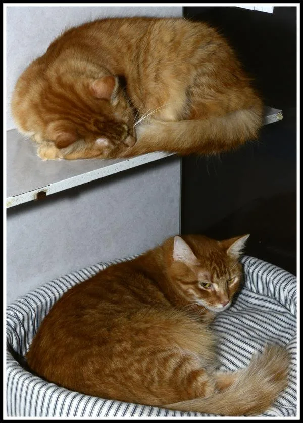 Mr. Happy thumbnail 2