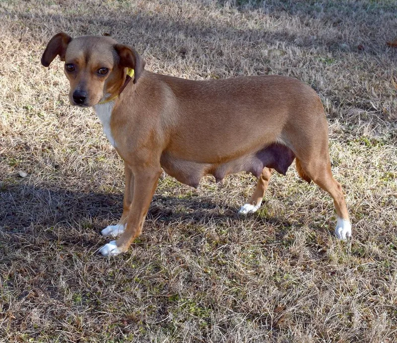 Mcgonagall thumbnail 2