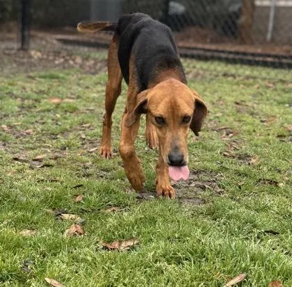 James Madison thumbnail 2