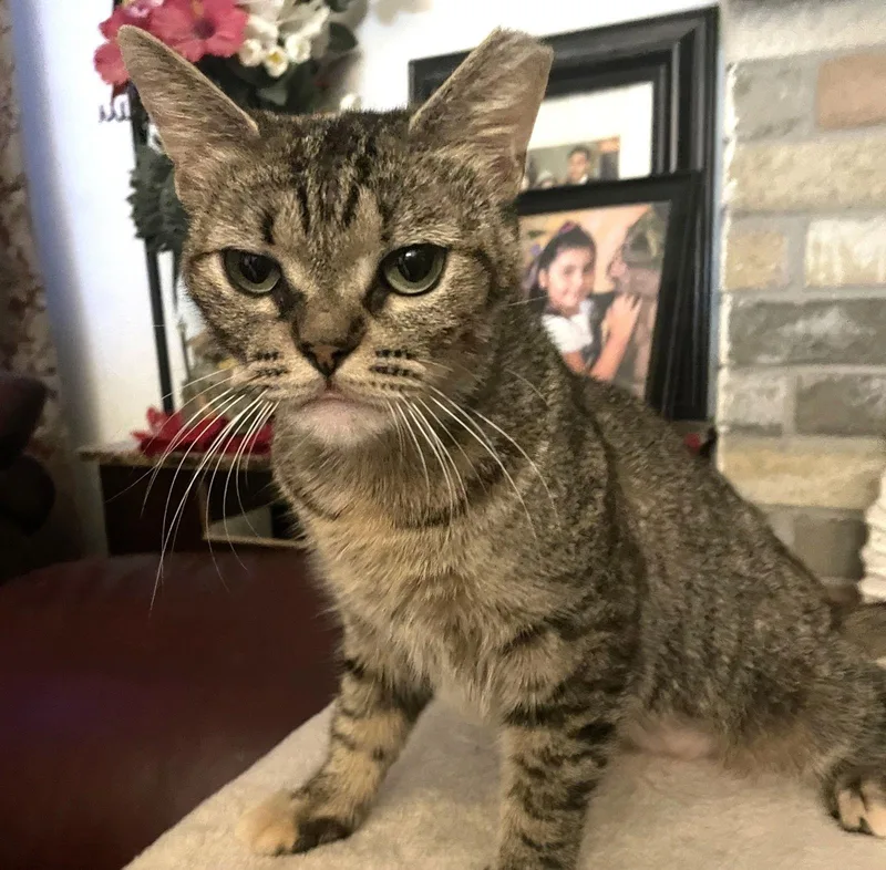 Lily Resilientsweetheart thumbnail 2