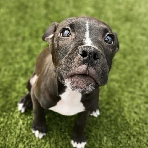 Lucy Lou thumbnail 3