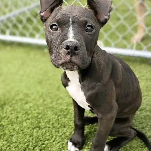 Lucy Lou thumbnail 4